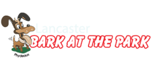 Lancaster Bark at the Park
